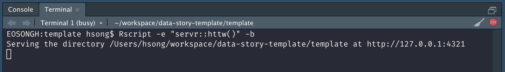 Image of a terminal in RStudio